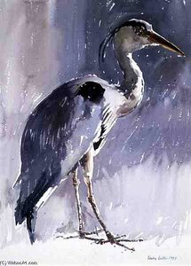 Grey Heron — Lucy Willis