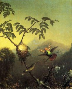 Two Hummingbirds: Tufted Coquettes — Martin Johnson Heade