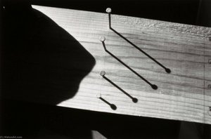Building The Wisconsin House (nails) — Joseph D Jachna