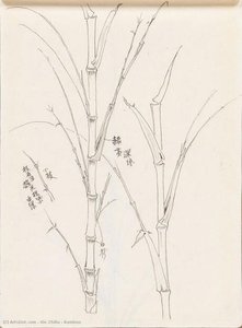 Bamboo — Xie Zhiliu