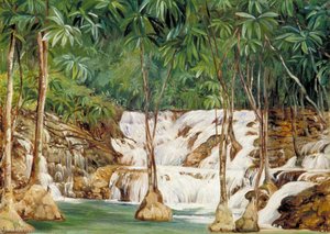 One Of The Sources Of The Roaring River, Jamaica — Marianne North