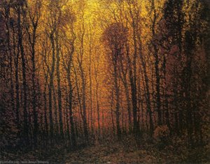 Deep Woods in Fall