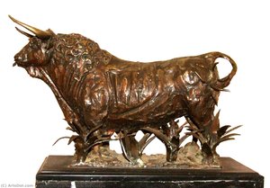 Toro del campo