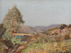 Birch Tree Between Strathblane And Milngavie — Robert Lillie