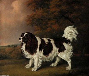 Study Of A King Charles Spaniel — Henry Bernard Chalon