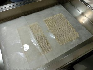 Restoration Process Of Gonzalo Gómez Espinosa — Gonzalo Gómez De Espinosa