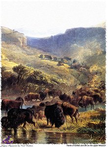 Sharper Native Americans (9) — Karl Bodmer