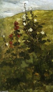 Hollyhocks 1