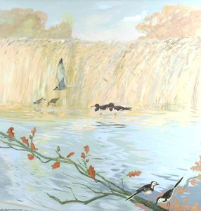 Oyster Catchers and Wagtails