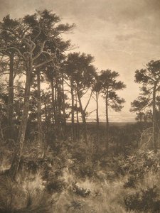 Solitude — R.a Benjamin Williams Leader