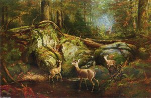 Deer In The Adirondacks — Arthur Fitzwilliam Tait