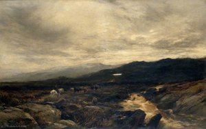 On the Cumberland Fells