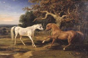 L'amour De Cheval — James Ward