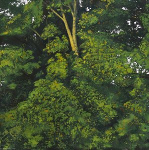 Foliage Clouds, Sycamore — Alan Bennett