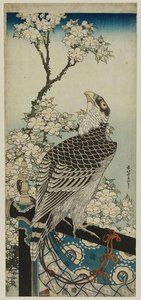Hawk Und Kirschblüten — Katsushika Hokusai