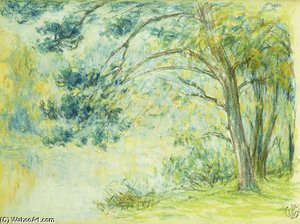 Paysage Landscape