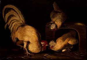 Farmyard Fowls