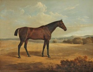 Bay Horse In A Landscape — Edmund Bristow