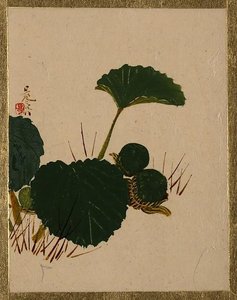 Worm On Green Leaved Plant — Shibata Zeshin