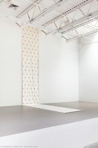 Roll Of Wax Canvas — Niele Toroni