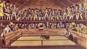 The Westminster-pit — Henry Thomas Alken