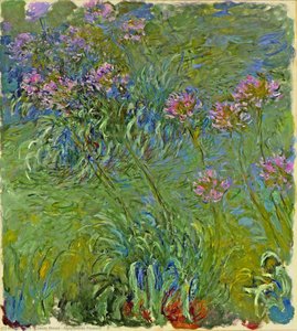 Agapanthus Flowers — Claude Monet, Impressionism