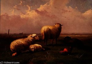 Sheep Dozing in a Pasture