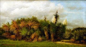 Palmetto And Yucca — William Aiken Walker