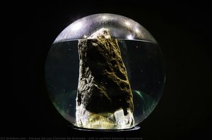 Life in perfect balance: Ecosphere