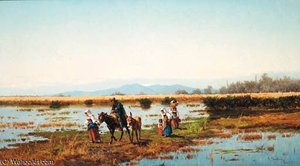 The Long Journey Home — Pietro Barucci