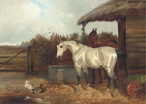 Horses At A Trough