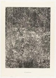 Worn Work (travail D'usure) From The Portfolio Sites And Paths (sites Et Chaussées) From Phenomena (les Phénomènes) — Jean Philippe Arthur Dubuffet
