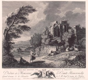Ruins of an Aqueduct