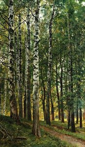 Birch Grove — Ivan Ivanovich Shishkin