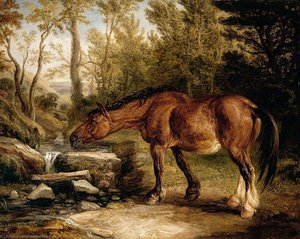 A Horse Drinking At A Stream — James Ward, Romanticism