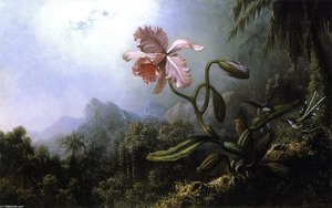 Two Hummingbirds With An Orchid — Martin Johnson Heade