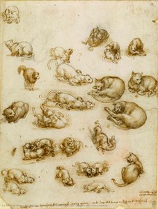 Study Sheet With Cats, Dragon And Other Animals — Leonardo Da Vinci, High Renaissance