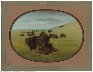A Buffalo Wallow — George Catlin