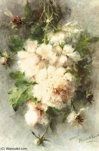 Peonies In Bloom — Margaretha Roosenboom