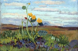 Ranunculus — James Dickson Innes