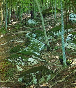 Late Light — Neil Gavin Welliver