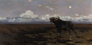 In The Marsh - A Cape Buffalo — Фридрих Вильгельм Кунерт
