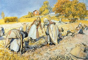 Potato Harvest — Carl Larsson