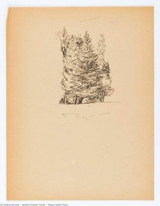 Figure under Trees