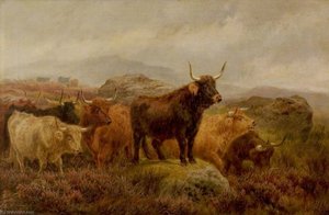 On the Scottish Moors