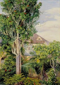 Der Garten Von King's House, Spanish Town, Jamaika — Marianne North, Realismus