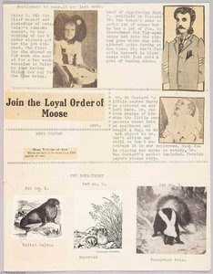 Supplement To Page. 13 See Last Week — Joseph Cornell