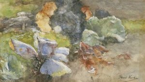 Red And White Cabbages With A Setting Sun — Floris Verster