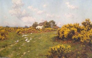 Gorse On A Berkshire Common — Edward Wilkins Waite