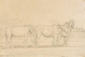 Three Horses Harnessed To A Plough 1 — John Frederick Lewis